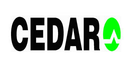 Cedar
