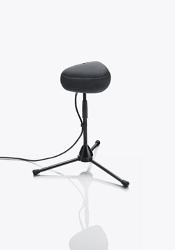 DPA 5100 Mobile 5.1 Surround Microphone