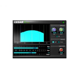 Cedar CS8 Declip - Declipping module