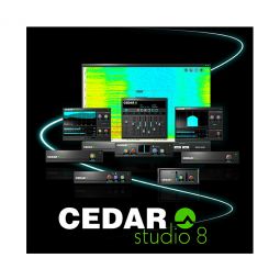 Cedar DNS 8 DNS ONE and TWO